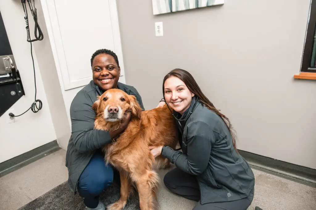 Staff members smile with a golden retriever at Hoffman Animal Hospital