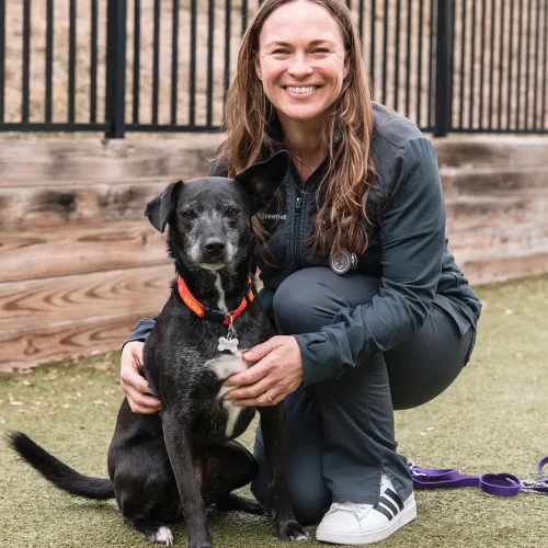Dr. Jennifer Greenwood of Hoffman Animal Hospital